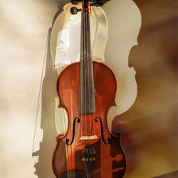 Double exposure image of violin