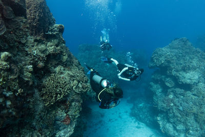 Scuba diving in sea