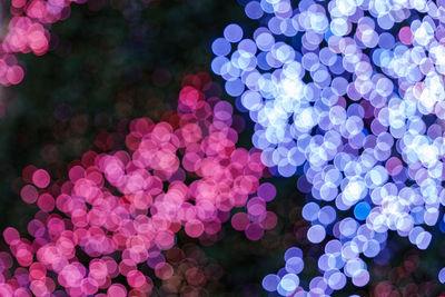 Defocused image of illuminated christmas lights