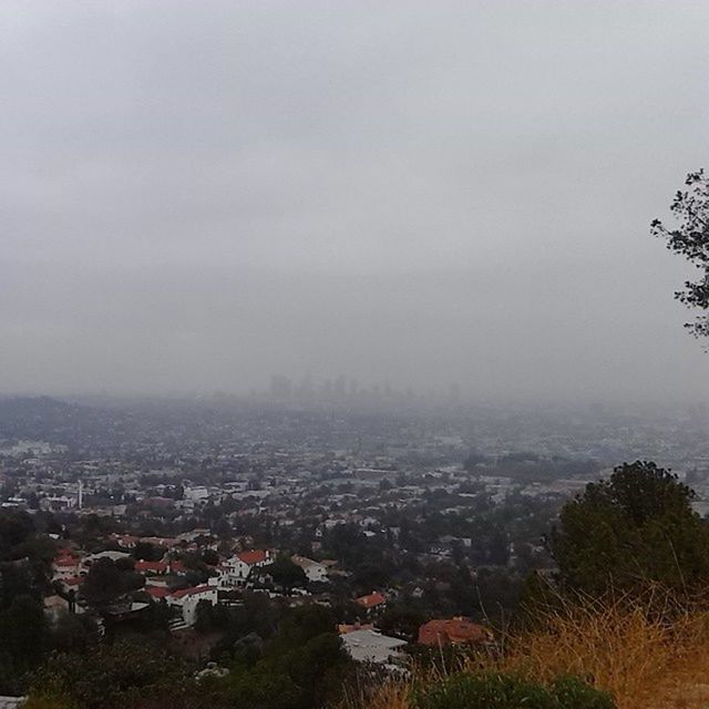 building exterior, architecture, built structure, fog, cityscape, city, sky, crowded, tree, high angle view, residential district, weather, house, residential structure, foggy, residential building, landscape, cloud - sky, town, nature