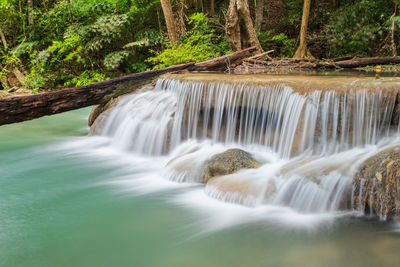 Scenic view of waterfall in forest