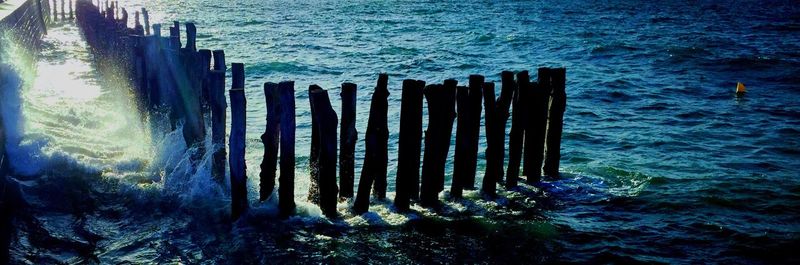 Wooden posts in the sea