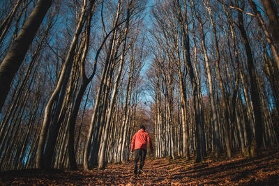 Young active man enjoys the autumn season in the czech mountains in the middle of europe