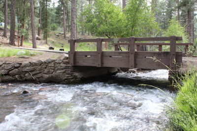 View of stream flowing through forest