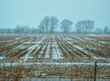 Snow covered field against sky