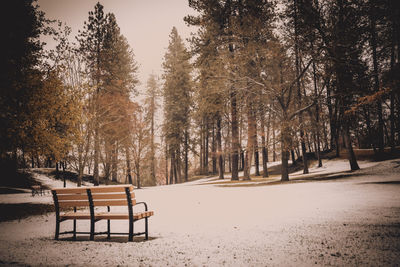 Empty benches on snow covered land