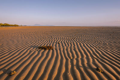 Scenic view of sand dunes in desert against sky