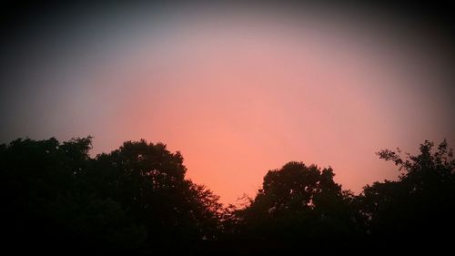 Low angle view of silhouette trees against sky at sunset