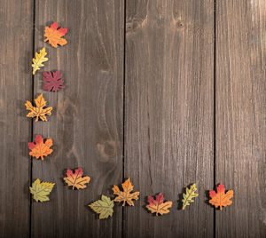 Close-up of flowers on wood