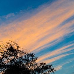 Low angle view of bare trees against sky at sunset