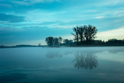 Wonderful fog on the lake and trees reflecting in the water