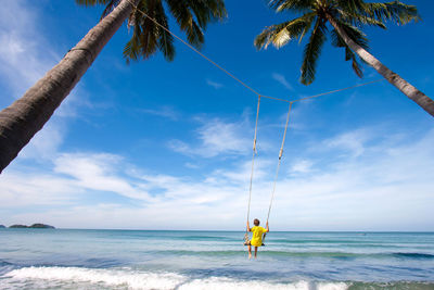 Rear view of person on swing amidst palm trees on beach 