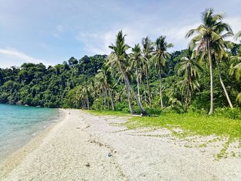 Scenic view of beach against sky