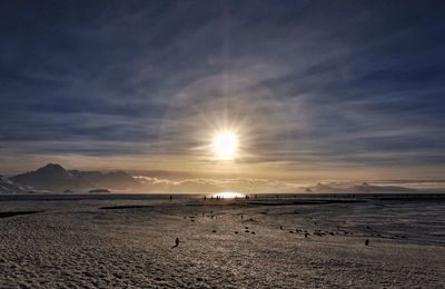 Scenic view of beach against sky during sunset