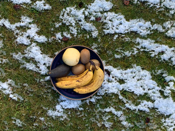 High angle view of fruit on snow covered land