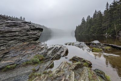 Scenic view of waterfall in forest