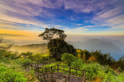 Beautiful scenery of the misty mountains in chiayi, taiwan