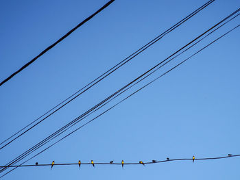 Low angle view of power cables against clear blue sky