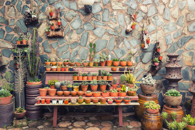 Potted plants for sale at market stall