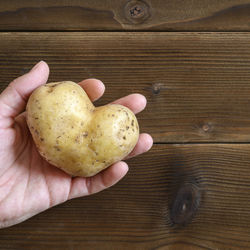 Close-up of person hand holding bread