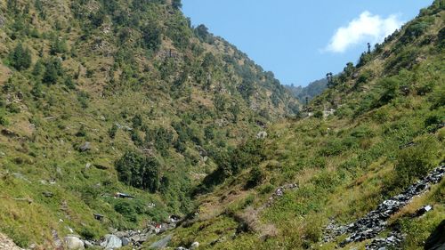 Scenic view of trees and mountains against sky