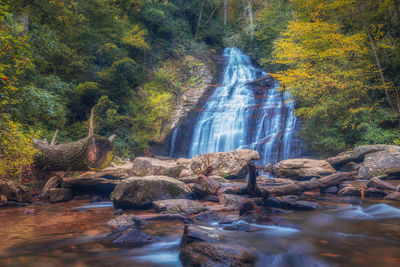 Waterfall in forest