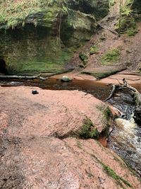 Scenic view of waterfall in forest