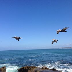 Waves flying over sea