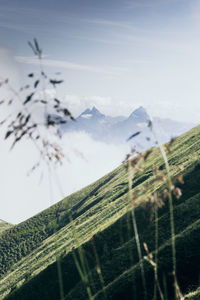 Scenic view of snowcapped mountains against sky