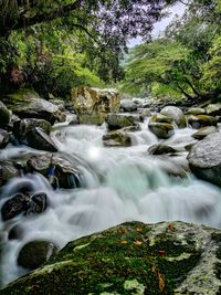 Scenic view of waterfall in forest