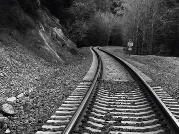 High angle view of railroad tracks amidst trees in forest