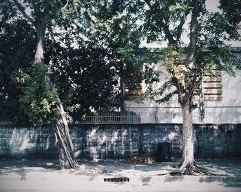 Built structure with trees in background