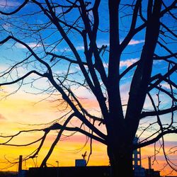 Low angle view of silhouette tree against sky