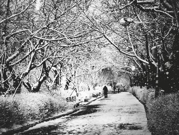 Rear view of people walking on snow covered road