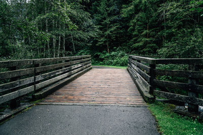 Footbridge against trees in forest