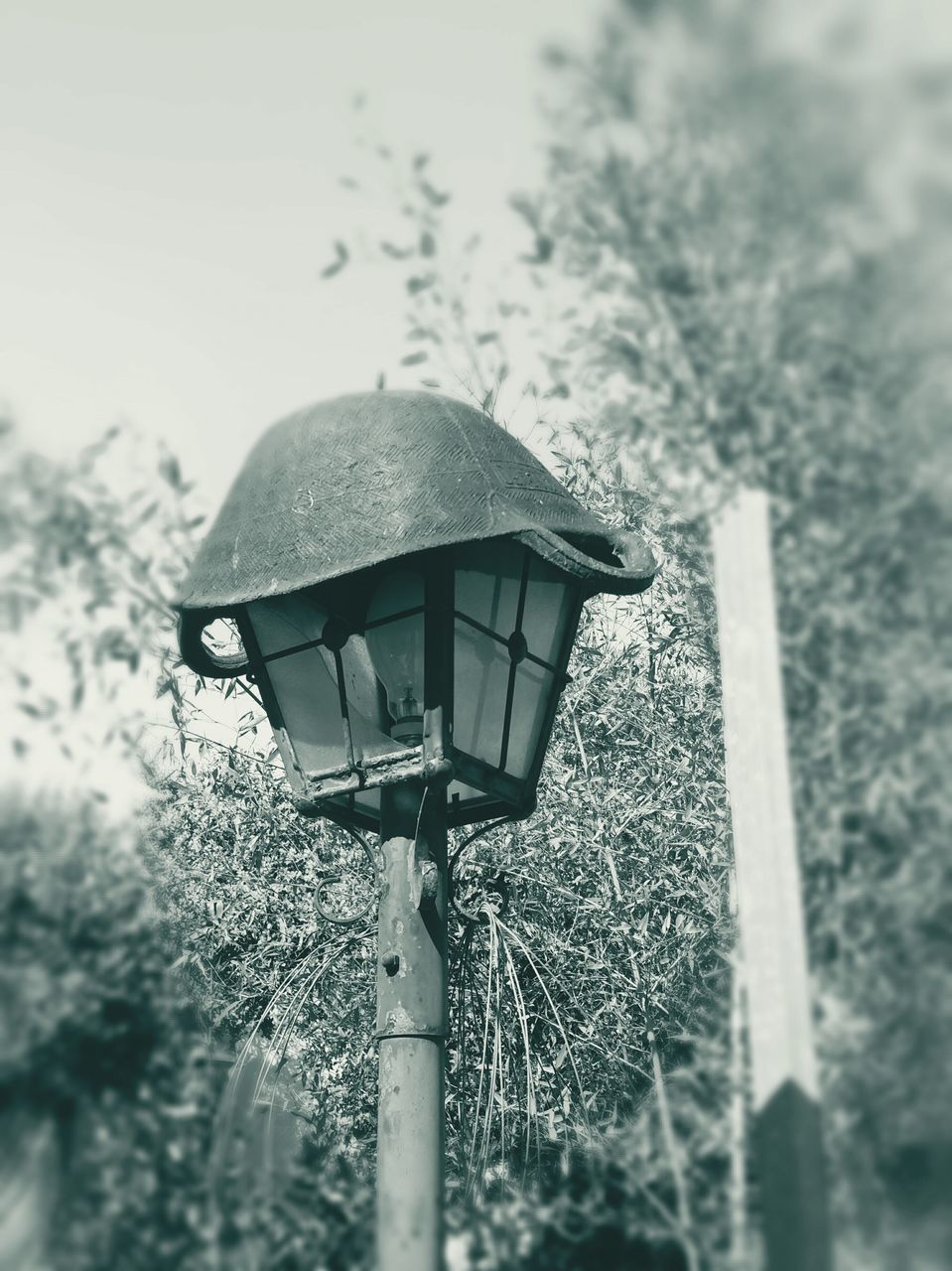 focus on foreground, metal, close-up, low angle view, protection, sky, lighting equipment, safety, day, metallic, no people, outdoors, street light, pole, security, tree, nature, weather, electricity, hanging