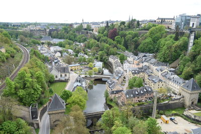 High angle view of trees and buildings in city