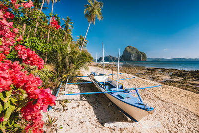 Scenic view of beach by sea against sky