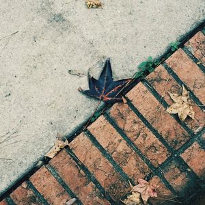 High angle view of building