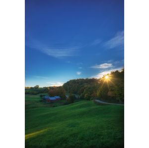 Scenic view of grassy field against sky