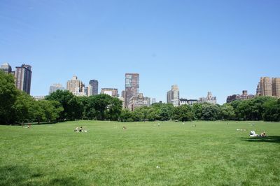 Scenic view of field and buildings against clear sky