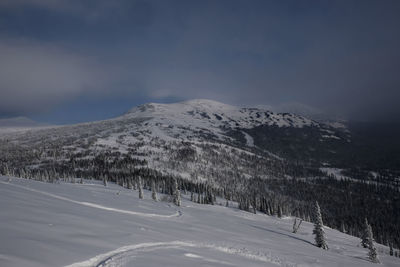 Sunny winter morning in the mountains of sheregesh on the ski track