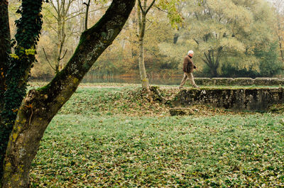 Man walking on bridge amidst lake and grassy field at forest