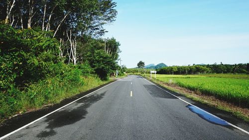 Empty road along trees and plants against sky