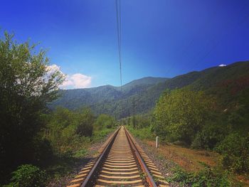 Railroad track amidst trees against clear sky