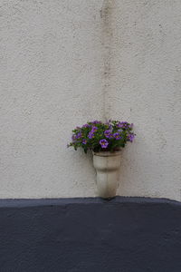 Close-up of flower pot against wall