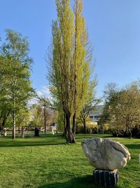 Trees in park against sky