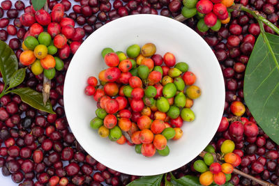 High angle view of fruits in bowl