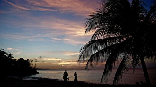 Silhouette of palm trees at sunset