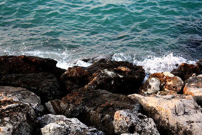 High angle view of rocks on beach